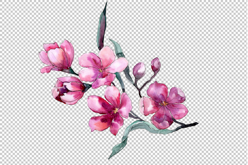 bouquet-of-flowers-fiona-pink-watercolor-png