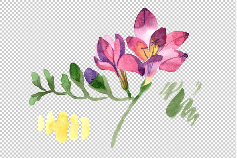 pink-freesia-flower-watercolor-png