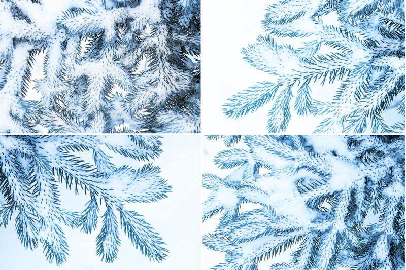 13-blue-tree-background-textures