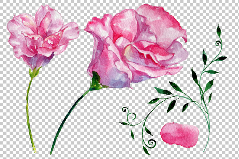 pink-rose-strength-of-love-watercolor-png