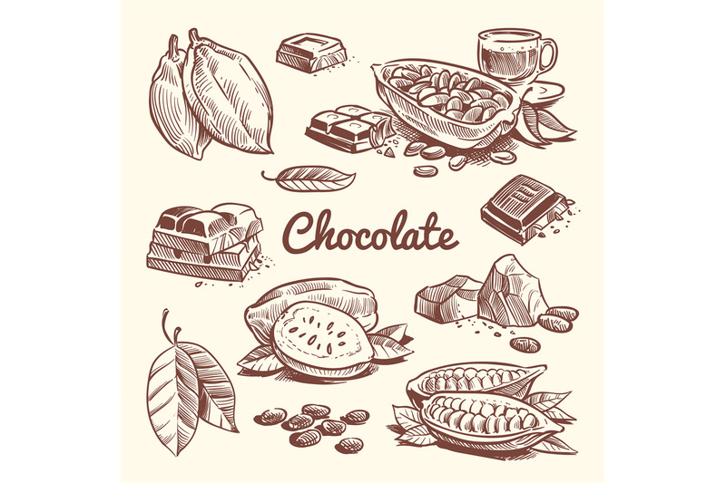 hand-drawn-cacao-leaves-cocoa-seeds-sweet-dessert-and-chocolate-bar