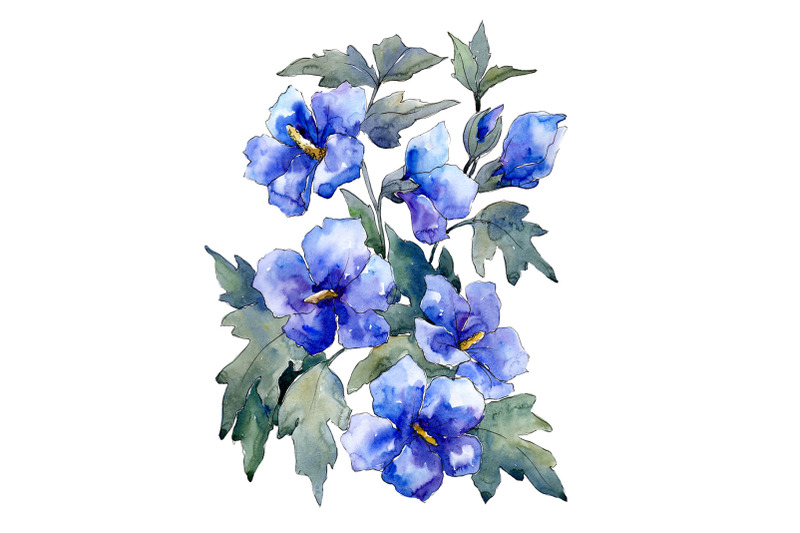 bouquet-of-flowers-blue-nona-watercolor-png
