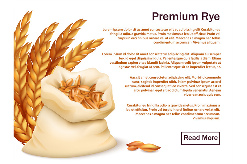 realistic-rye-ears-and-grains-isolated-on-white-background-premium-r