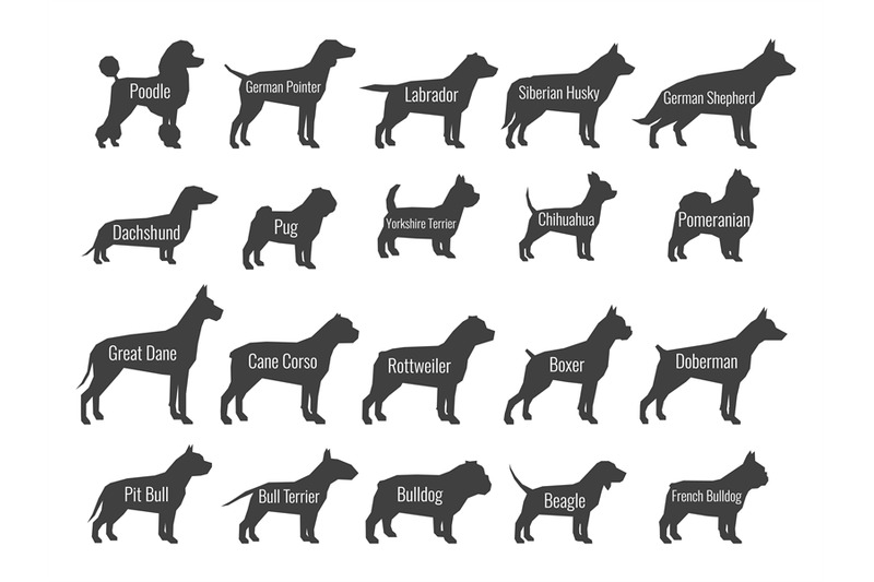 black-dog-breeds-vector-silhouettes-isolated-on-white-background