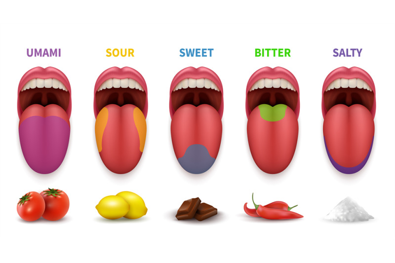 human-tongue-basic-taste-areas-smack-map-in-mouth-sweet-salty-sour