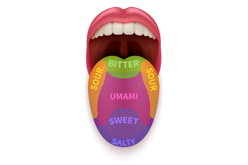realistic-tongue-with-basic-taste-areas-tasting-map-in-human-mouth-sw