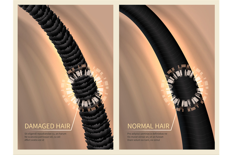 closeup-damaged-harsh-and-normal-healthy-hair-vector-illustration-for