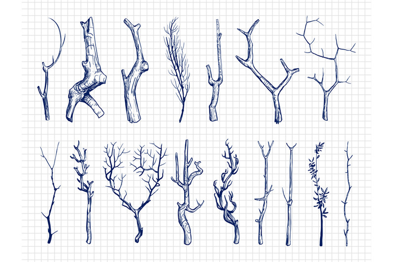 hand-drawn-wood-branches-collection