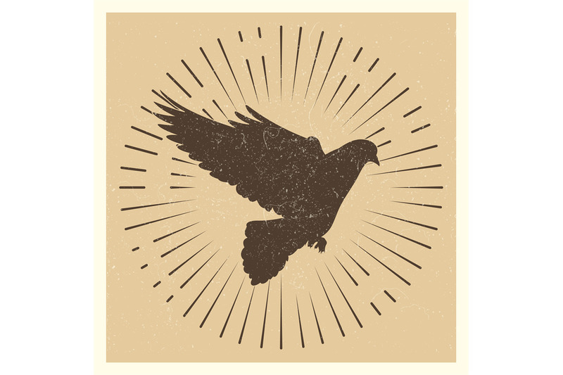 dove-vintage-vector-pigeon