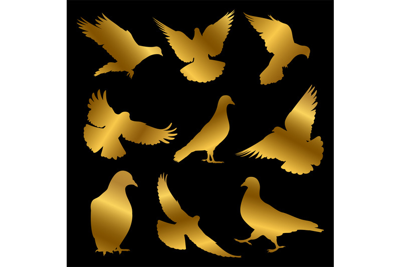 golden-dove-silhouettes-isolated-on-black-background