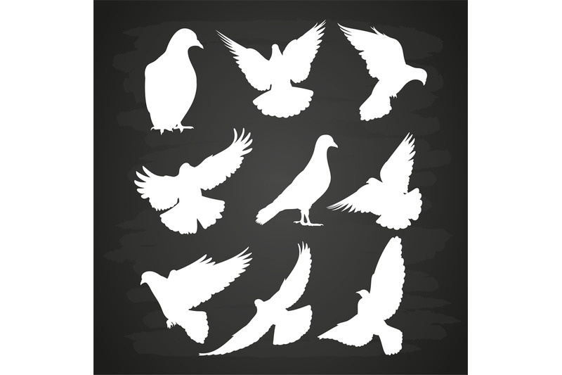 white-dove-silhouette-set-on-blackboard