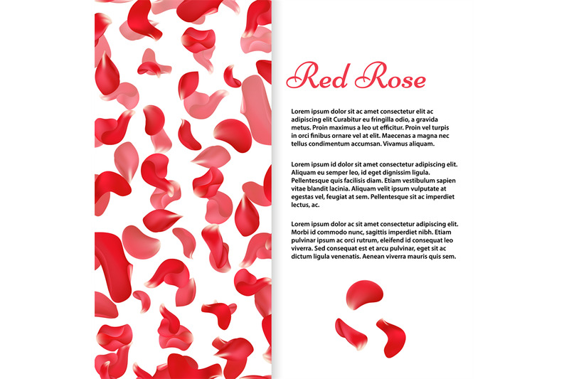 red-rose-petals-banner-or-flyer-vector-template
