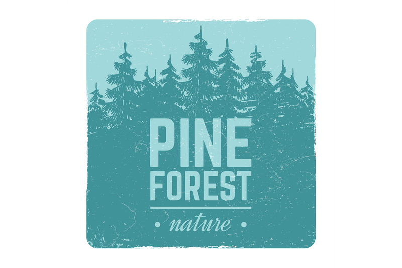 sketch-vintage-nature-pine-and-fir-tree-forest-vector-retro-emblem-wit