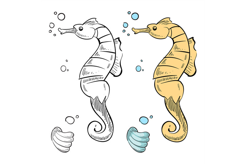 ocean-wild-life-coloring-hand-drawn-sea-horse-and-shell