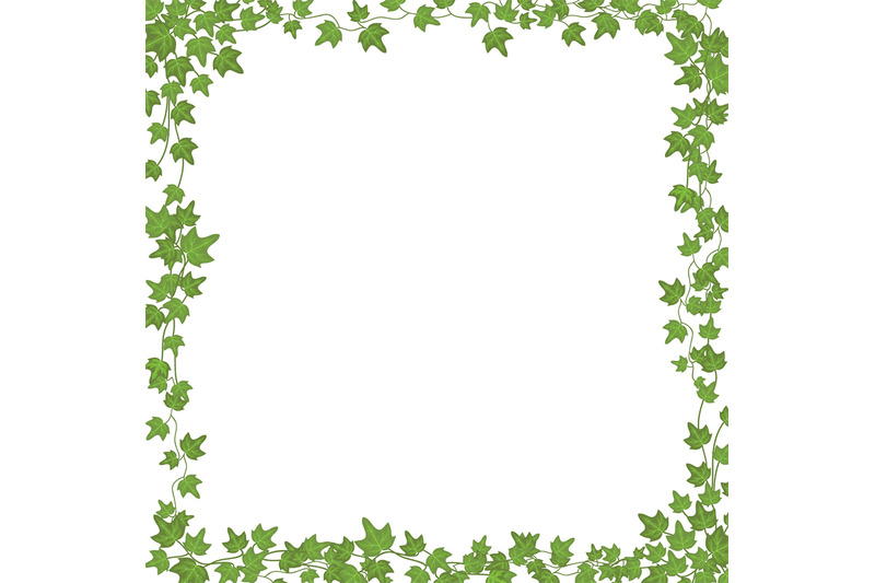 ivy-vines-with-green-leaves-floral-vector-rectangular-frame-isolated