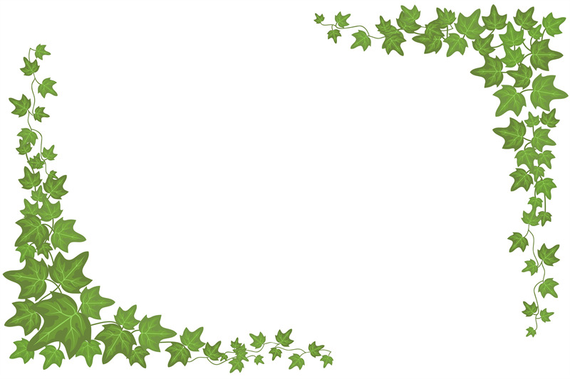 decorative-green-ivy-wall-climbing-plant-vector-frame
