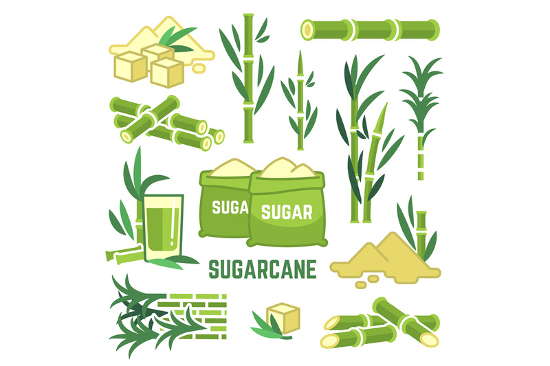 sugar-plant-agricultural-crops-cane-leaf-sugarcane-juice-vector-icon