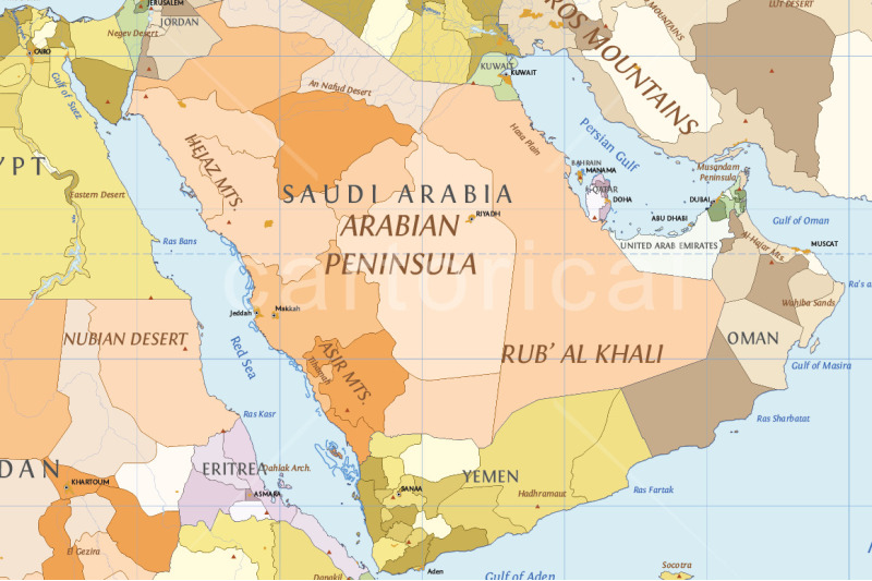 political-world-vector-map