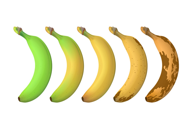 banana-fruit-ripeness-levels-from-green-underripe-to-brown-rotten-vec