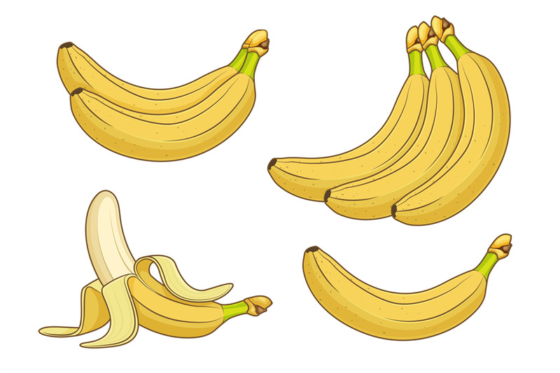 cartoon-banana-fruits-bunches-of-fresh-bananas-vector-illustration
