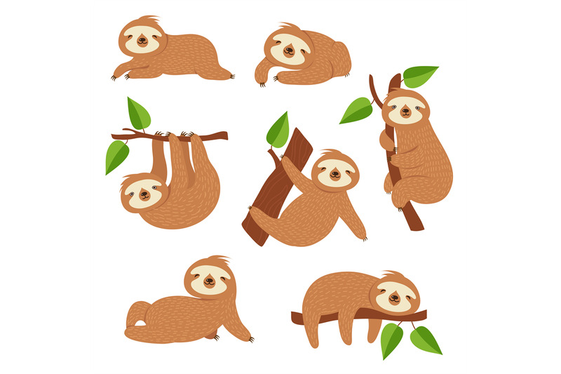 cute-sloths-cartoon-sloth-hanging-on-tree-branch-baby-jungle-animal