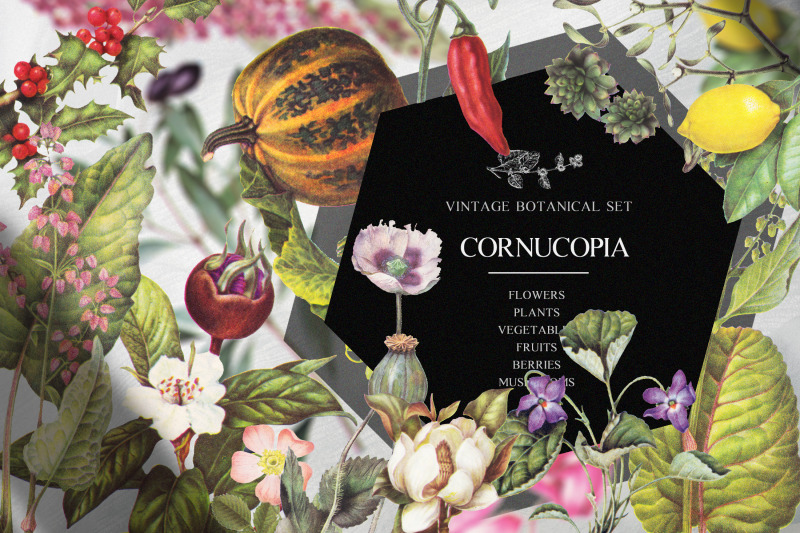 vintage-botanical-set-cornucopia