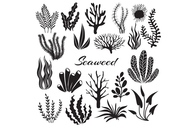 aquarium-seaweeds-underwater-plants-ocean-planting-vector-seaweed-b