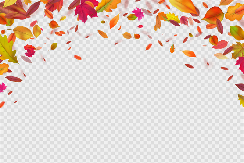 autumn-falling-leaves-autumnal-forest-foliage-fall-vector-illustrati