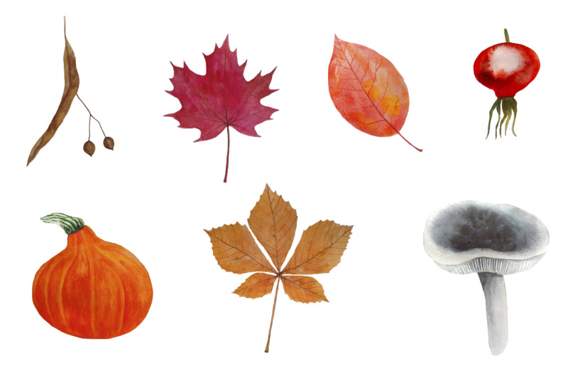 autumn-clipart-watercolor