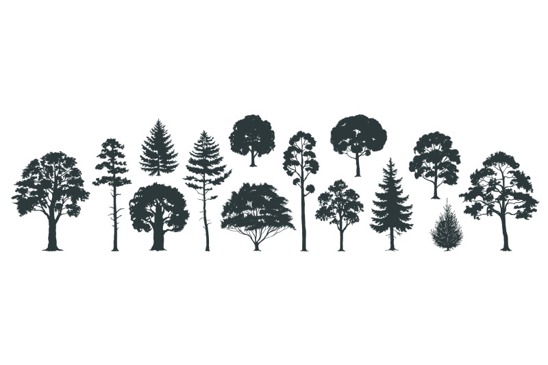 trees-silhouettes-forest-and-park-pines-firs-and-spruces-coniferous