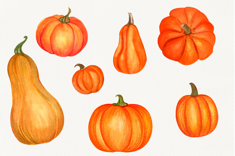 pumpkin-watercolor-clipart