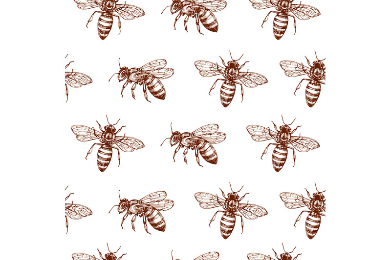 honey-bee-seamless-pattern-vintage-doodle-sketch-wrapping-vector-back