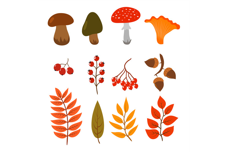 autumn-leaves-mushrooms-and-berries-isolated-on-white-background-ill