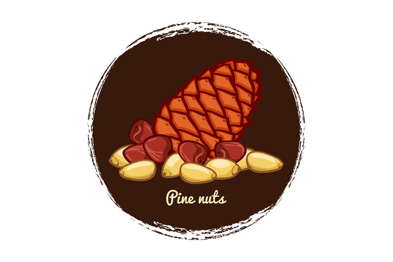 pine-cone-with-nuts-hand-sketched-pine-nuts-vector-illustration