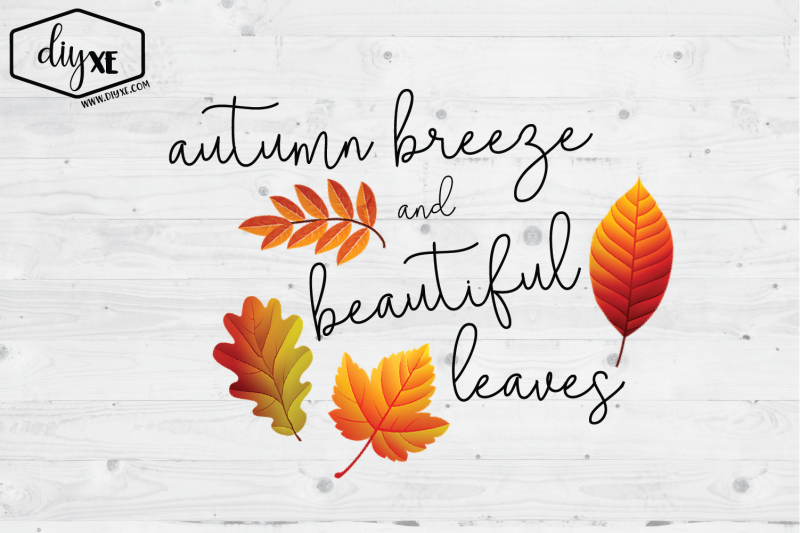 autumn-breeze-and-beautiful-leaves