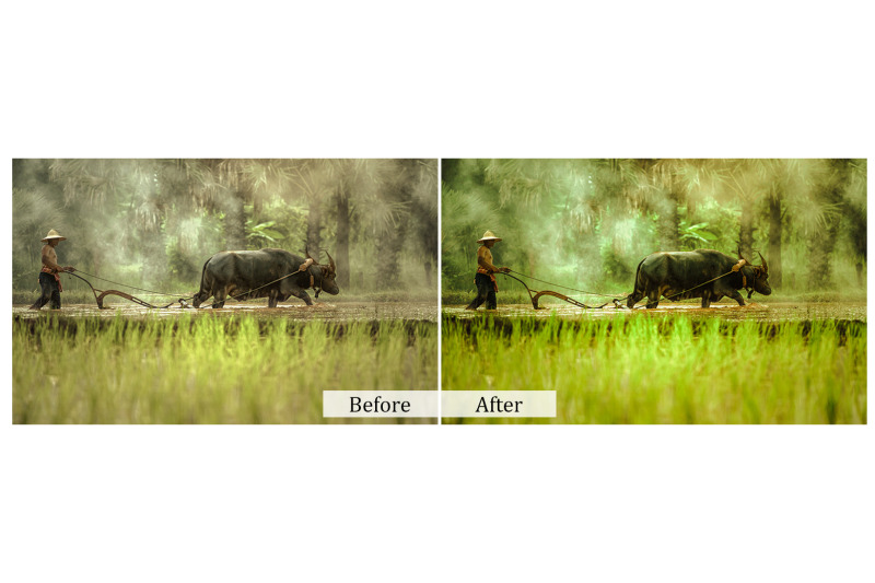 160-natural-photoshop-actions