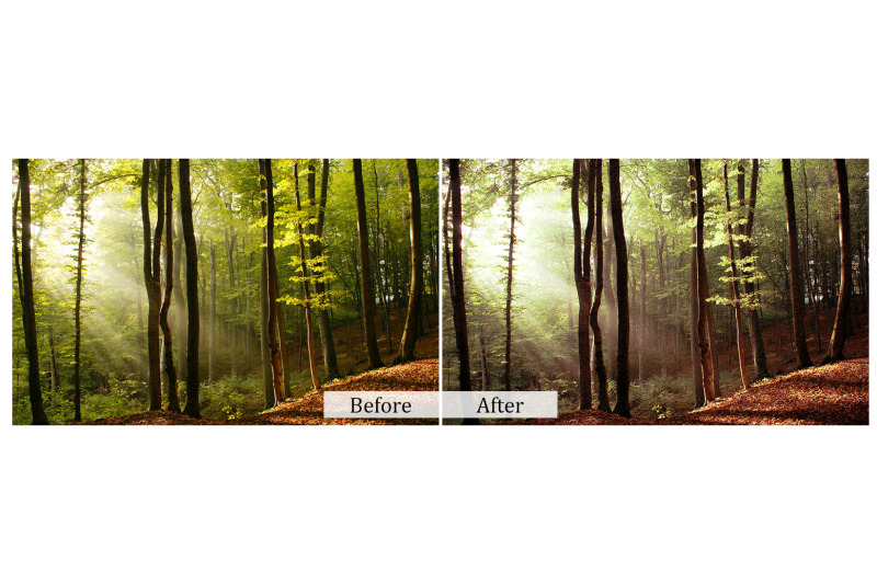 90-nature-photoshop-actions