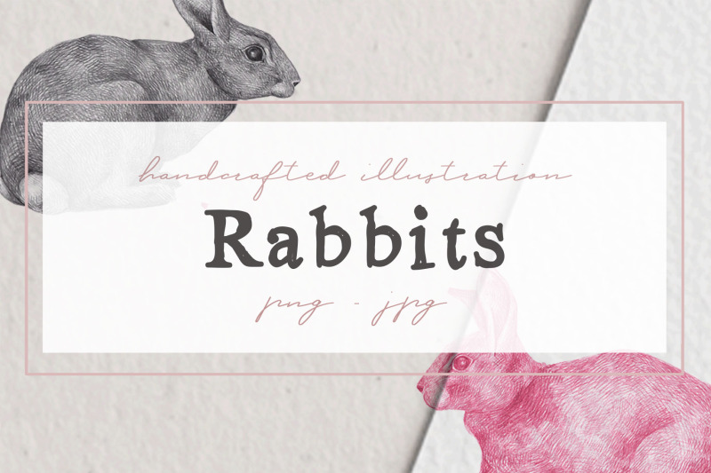 hand-drawn-rabbits-illustrations