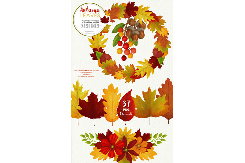 autumn-leaves-fall-foliage-watercolor-clipart