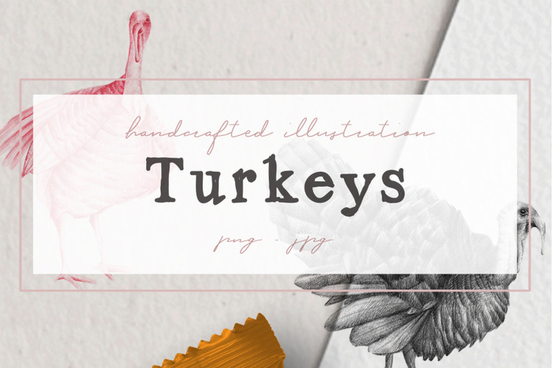 hand-drawn-turkeys-illustrations
