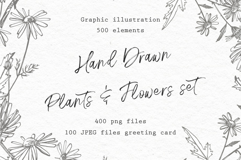 hand-drawn-plants-amp-flowers-set