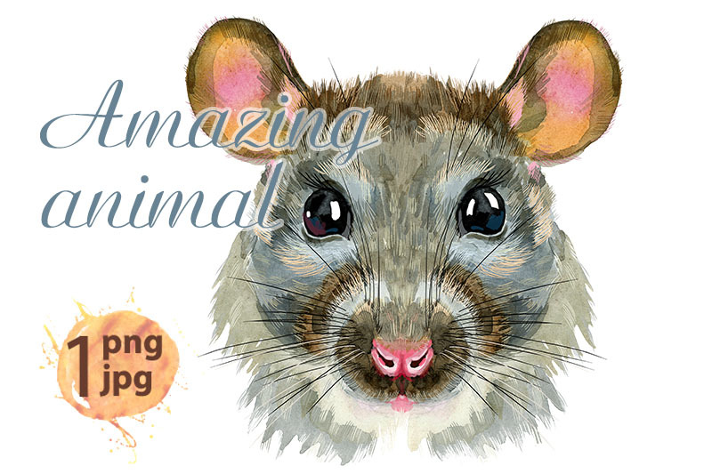 watercolor-portrait-of-wild-gray-rat