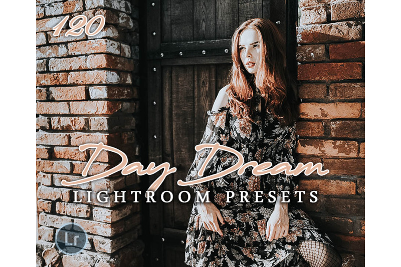 120-day-dream-lightroom-presets-for-photographer-designer-photograph