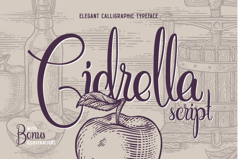 cidrella-script-amp-graphics