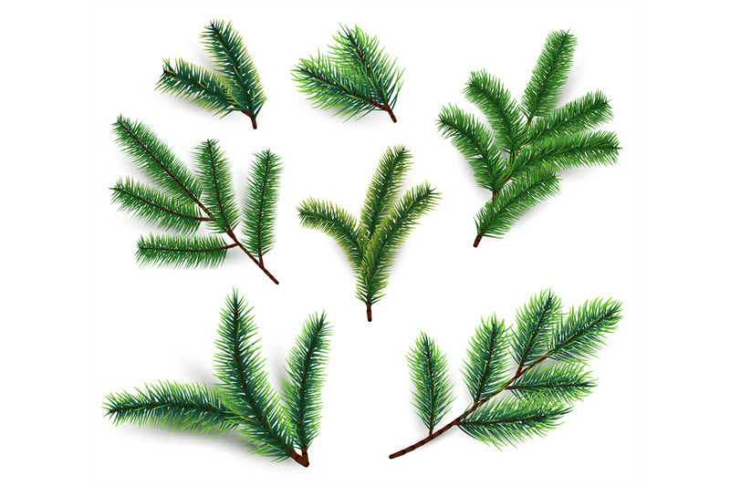 fir-branches-christmas-tree-branching-isolated-3d-realistic-conifer