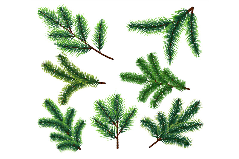 pine-tree-branches-christmas-fir-tree-branch-vector-xmas-decorarion
