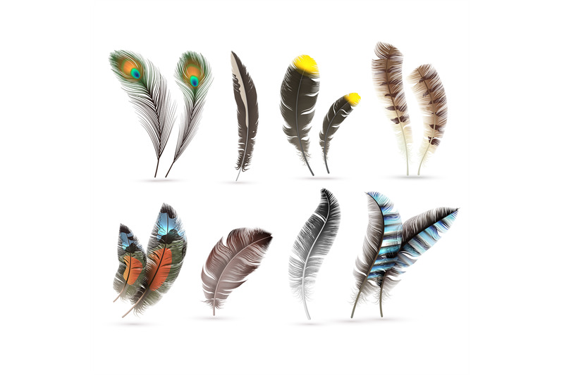 realistic-bird-feathers-detailed-colorful-feather-of-different-birds