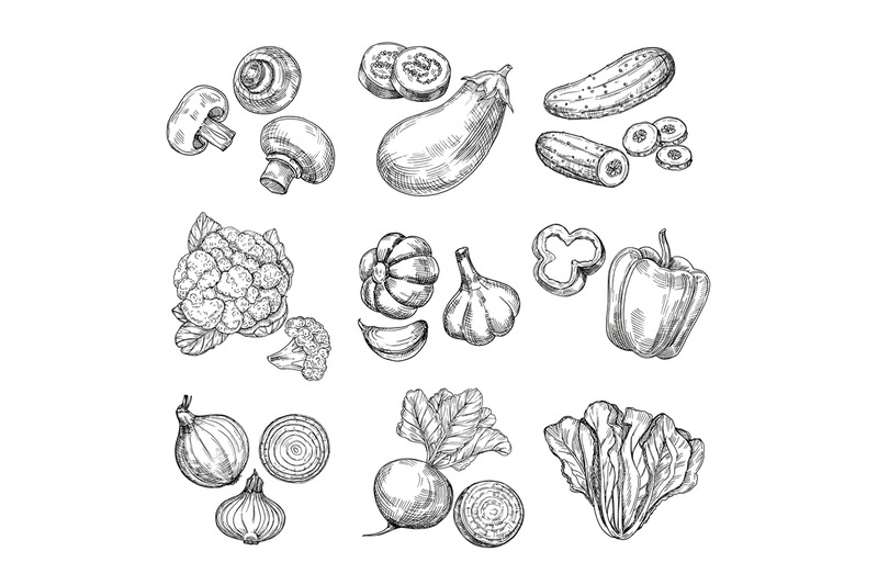 hand-drawn-vegetables-garden-cauliflower-pepper-and-eggplant-champi