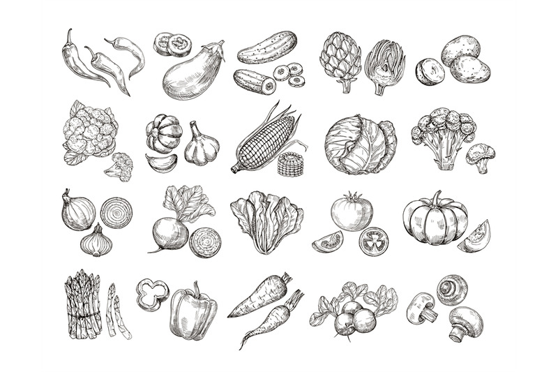 sketch-vegetables-vintage-hand-drawn-garden-vegetable-collection-car