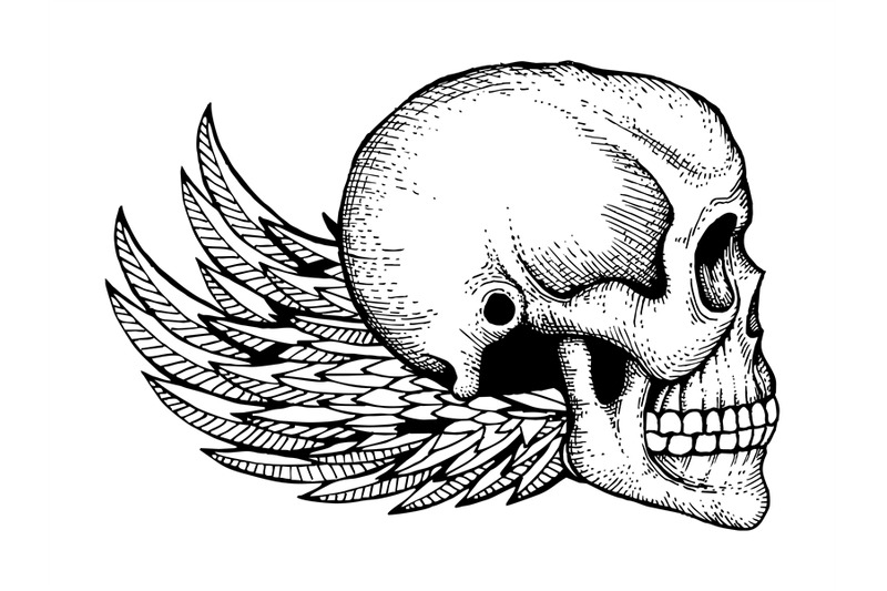 black-and-white-ink-sketched-human-skull-with-wings-isolated-on-white